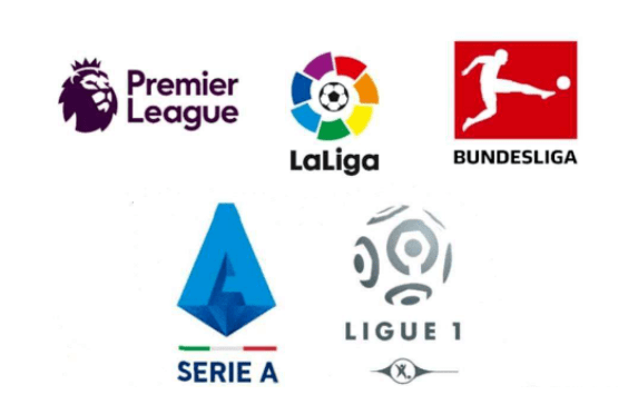 以带动本土 以带动本土